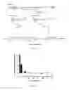 Fig. 16 - Antifolate compounds for the treatment of melanoma