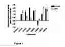 Fig. 02 - SMALL MOLECULE CORRECTORS OF DELTAF508 CFTR TRAFFICKING