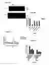 Fig. 05 - SMALL MOLECULE CORRECTORS OF DELTAF508 CFTR TRAFFICKING