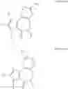 Fig. 09 - SMALL MOLECULE CORRECTORS OF DELTAF508 CFTR TRAFFICKING