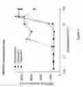 Fig. 07 - Perharidines as CDK inhibitors