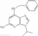 Fig. 80 - Perharidines as CDK inhibitors