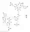 Fig. 02 - RECEPTOR TARGETED OLIGONUCLEOTIDES