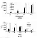 Fig. 22 - RECEPTOR TARGETED OLIGONUCLEOTIDES