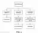 Fig. 04 - Methods for determining methylation of the TWIST1 gene for bladder cancer detection