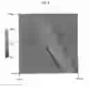 Fig. 02 - Pre-processed thermoplastic compound