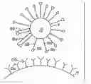 Fig. 01 - Multicomponent assemblies having enhanced binding properties for diagnosis and therapy