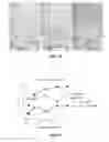 Fig. 13 - POLYMERS CONTAINING QUATERNIZED NITROGEN