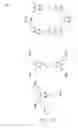 Fig. 02 - METHOD OF PREPARING ORGANIC POROUS SOLIDS AND SOLIDS OBTAINABLE BY THIS METHOD