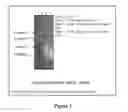 Fig. 02 - METHOD FOR SAMPLE PREPARATION