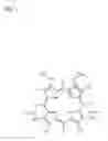 Fig. 02 - Method for preparing tetrapyrrole compounds and tetrapyrrole compounds