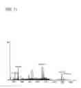 Fig. 22 - Method for preparing tetrapyrrole compounds and tetrapyrrole compounds
