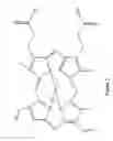 Fig. 03 - Preparation of metal mesoporphyrin compounds