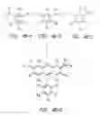 Fig. 07 - ENERGY TRANSFER DYES WITH ENHANCED FLUORESCENCE