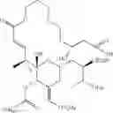 Fig. 101 - BRYOSTATIN ANALOGUES, SYNTHETIC METHODS AND USES