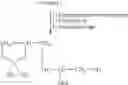 Fig. 13 - Phosphatidyl oligoglycerols