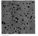 Fig. 01 - Process for synthesizing cubic metallic nanoparticles in the presence of two reducing agents
