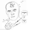 Fig. 01 - PATIENT STATE DETECTION BASED ON SUPERVISED MACHINE LEARNING BASED ALGORITHM