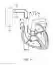Fig. 12 - CONTINUOUS FIELD TOMOGRAPHY SYSTEMS AND METHODS OF USING THE SAME