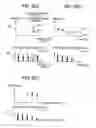 Fig. 08 - Ultrasonographic device and method for improving ultrasonographic device image quality