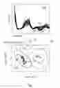 Fig. 02 - Optical Reflectance Spectroscopy for Evaluation of Radiation Injury
