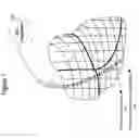 Fig. 08 - System for cardiac pathology detection and characterization