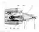 Fig. 06 - MUSCLE FORCE ASSISTING DEVICE (AS AMENDED)
