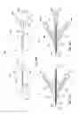 Fig. 11 - Occlusion perfusion catheter