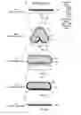 Fig. 07 - ABSORBENT ARTICLE AND ABSORBENT BODY