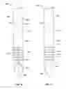 Fig. 15 - Apparatus and methods for delivering fluid and material to a subject