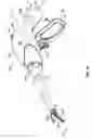 Fig. 02 - Electrosurgical instrument with time limit circuit