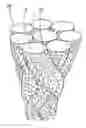 Fig. 01 - Three Dimensional Implant