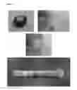 Fig. 08 - Applicator System for the Delivery of Surgical Sealants