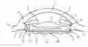 Fig. 01 - Adjustable accommodating intraocular lens and positioning means