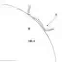 Fig. 04 - Prosthetic joint