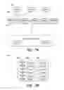 Fig. 08 - MASS SPECTROMETER OUTPUT ANALYSIS TOOL FOR IDENTIFICATION OF PROTEINS