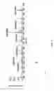 Fig. 07 - Method of quantitation by mass spectrometry