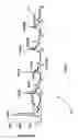 Fig. 10 - Method of quantitation by mass spectrometry