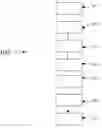 Fig. 01 - Tooth movement system and method