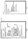 Fig. 04 - Method and system for modeling three-dimensional smoke propagation animation