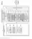 Fig. 04 - Biological state-evaluating apparatus, biological state-evaluating method, biological state-evaluating system, biological state-evaluating program and recording medium