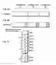 Fig. 06 - Encoding device and decoding device