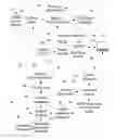 Fig. 01 - Detection of errors in the inference engine of a clinical decision support system