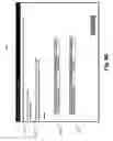 Fig. 11 - Creative process modeling and tracking system
