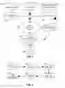 Fig. 02 - SYSTEM AND METHOD OF RECEIVING AND DISTRIBUTING ADVERTISING SPONSORED DIGITAL CONTENT ON A DEMAND BASIS TO A WIRELESS MOBILE DEVICE
