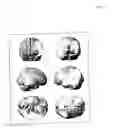 Fig. 10 - SYSTEMS FOR CLINICAL TRIALS