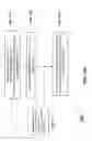 Fig. 42 - Systems and methods of revalidating cached objects in parallel with request for object