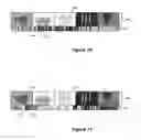 Fig. 09 - Navigation Tool for Video Presentations