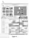 Fig. 06 - Edit visualizer for modifying and evaluating uncommitted media content