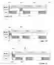 Fig. 33 - Segmented timeline for a media-editing application
